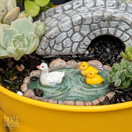 Mini Duck Pond