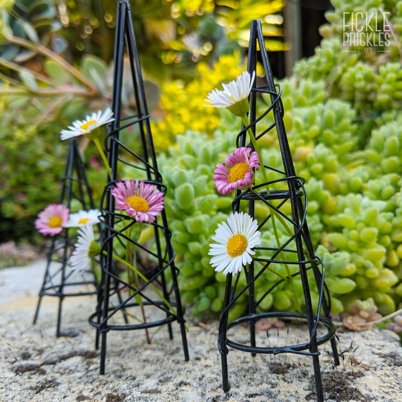 Mini Black Obelisk Trellis Set 3 | Fickle Prickles