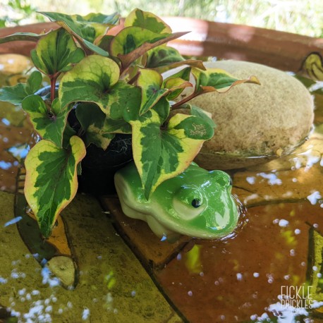 Floating Frog - Green