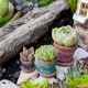 Ultra Mini Garden Pots - Set of 3