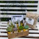 DIY Succulent Wreath Starter Kit - Medium