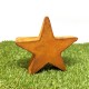 Rusted Metal Star