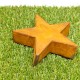 Rusted Metal Star