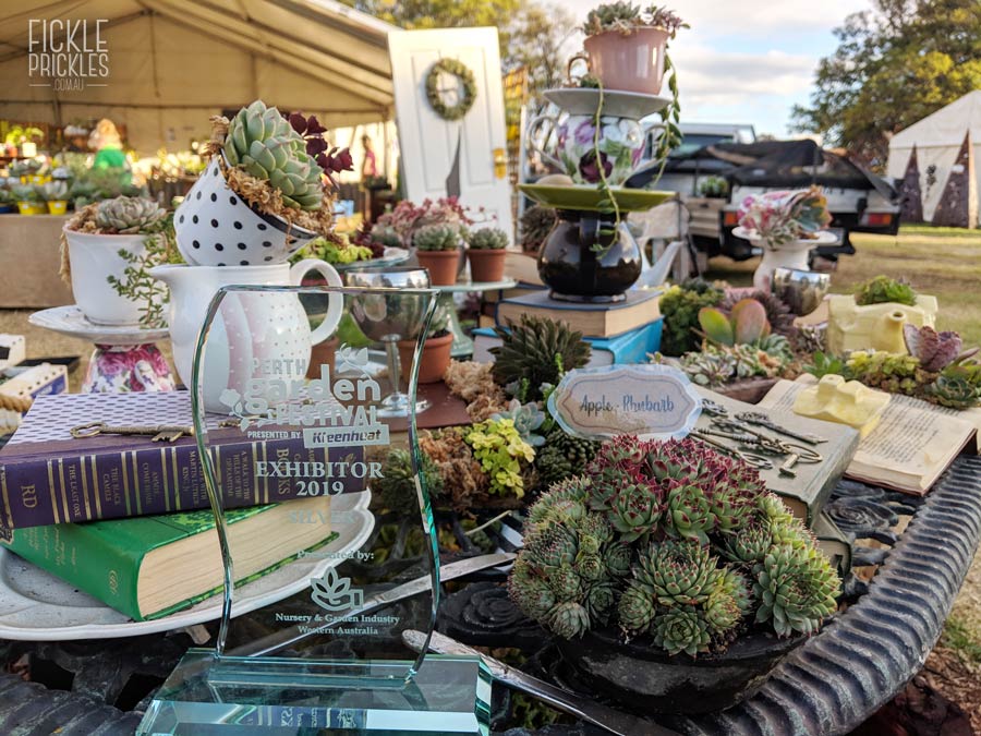 Fickle Prickles Display at the Perth Garden Festival 2019