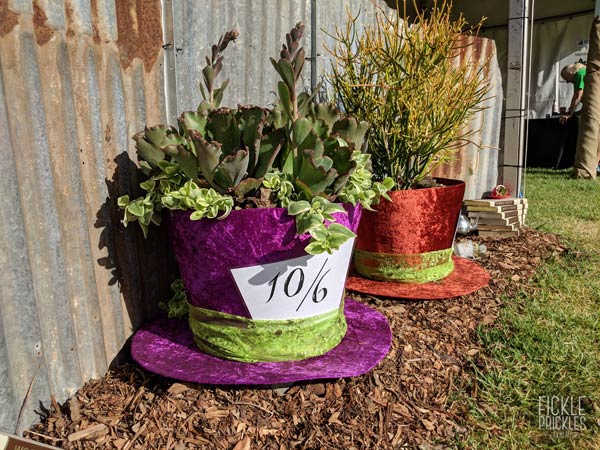 Mad Hatter top hats, planted with succulents