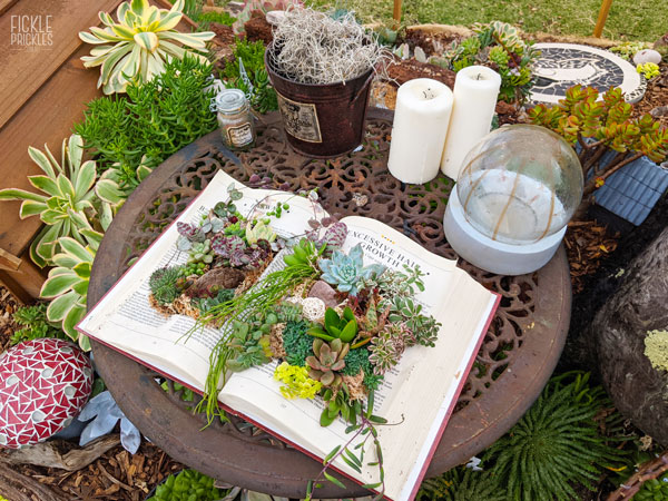 Spell book with Succulents