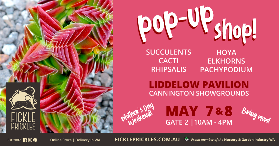 Fickle Prickles POP-UP SHOP! May 7&8 2022