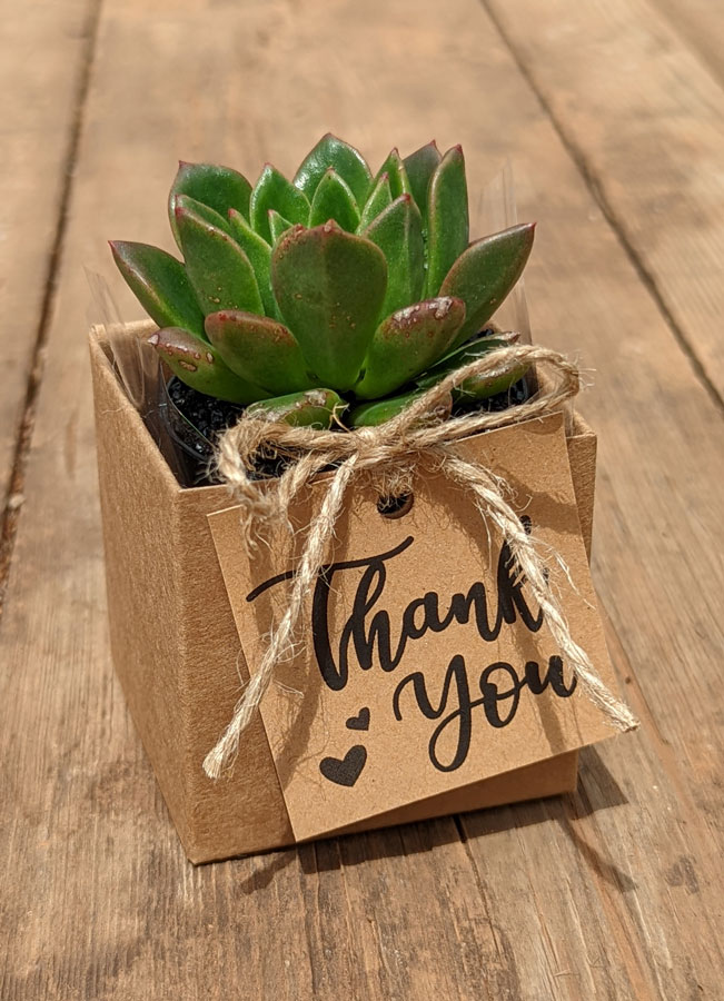Box with thank you tag