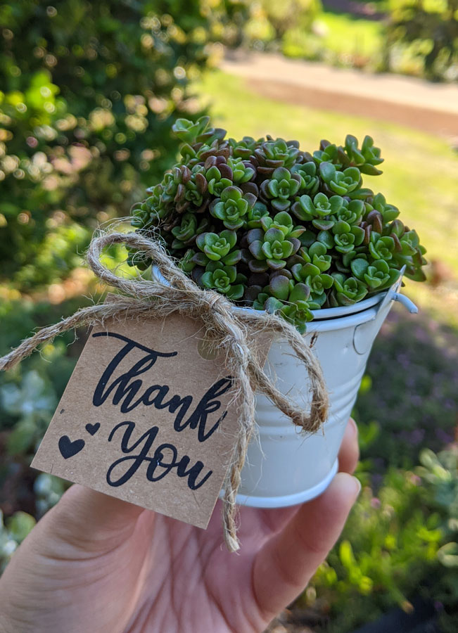 Bucket with thank you tag